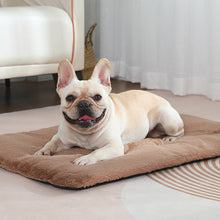 Heated Pet Bed – Universal for Cats & Dogs