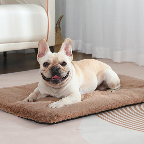 Heated Pet Bed – Universal for Cats & Dogs
