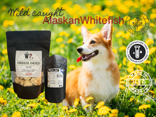 Wild Alaskan Whitefish Freeze-Dried Pet Treats 2oz