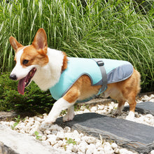 Pet Cooling Clothing Dog Vest