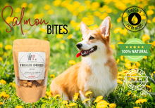Salmon Nibbles Freeze-Dried Pet Treats 2oz