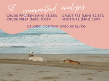 Salmon Nibbles Freeze-Dried Pet Treats 2oz