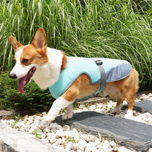 Pet Cooling Clothing Dog Vest
