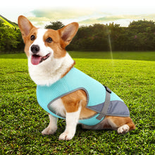 Pet Cooling Clothing Dog Vest